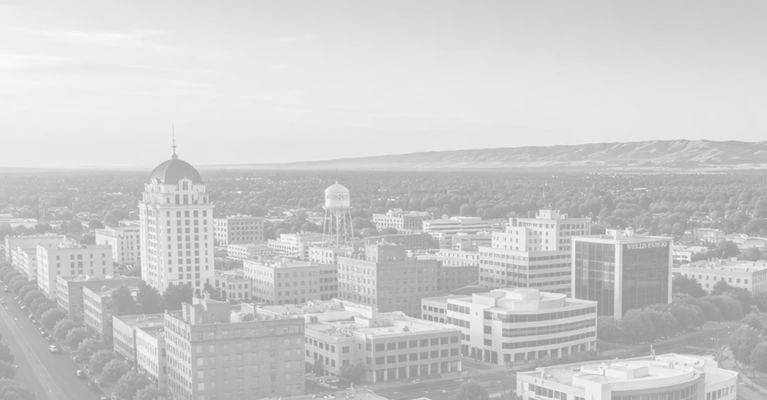 Black and white aerial view of a mid-sized city with prominent buildings and distant hills.