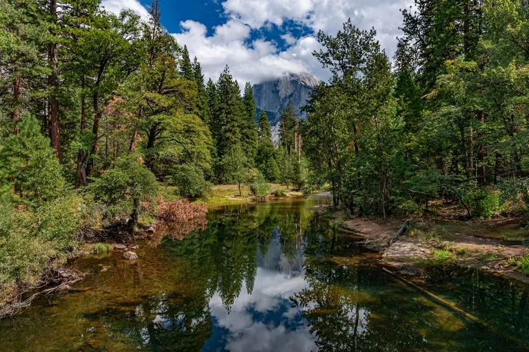 Tranquil forest river reflecting green trees and cloudy blue sky with distant mountain peak.