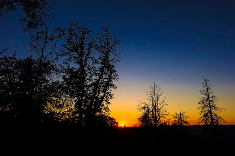 Silhouetted trees against a vivid orange and blue sunset sky.